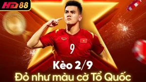 HD88 - Sự Lựa Chọn Hoàn Hảo Cho Bet Thủ Chuyên Nghiệp