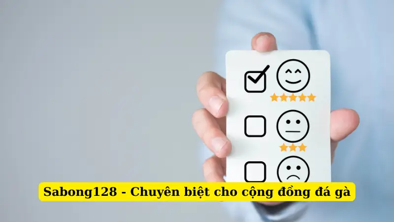Sabong128 - Chuyên biệt cho cộng đồng đá gà