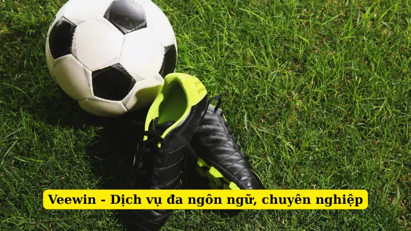 Veewin - Dịch vụ đa ngôn ngữ, chuyên nghiệp