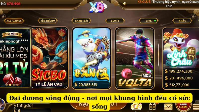 Đại dương sống động - nơi mọi khung hình đều có sức sống